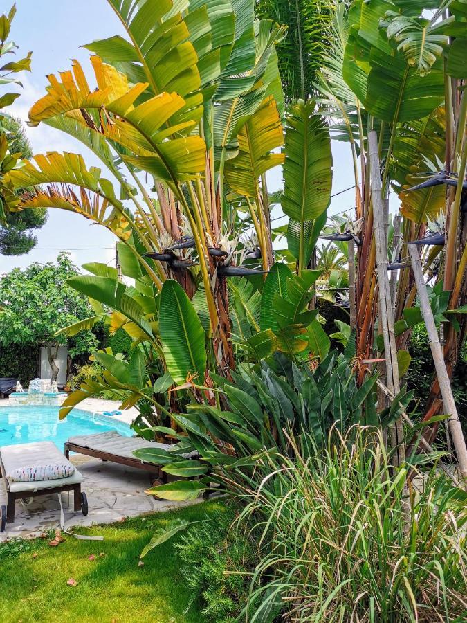 Blue Dream Cannes Guest House Esterno foto